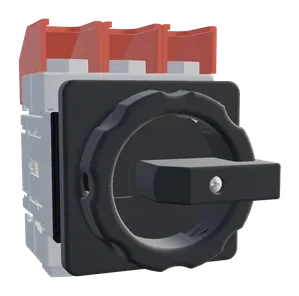 LT100 负荷隔离开关 HLT100/3E/Z33，货号 10000826