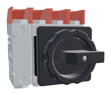 LT100 负荷隔离开关 HLT100/4E/Z33，货号 10000913