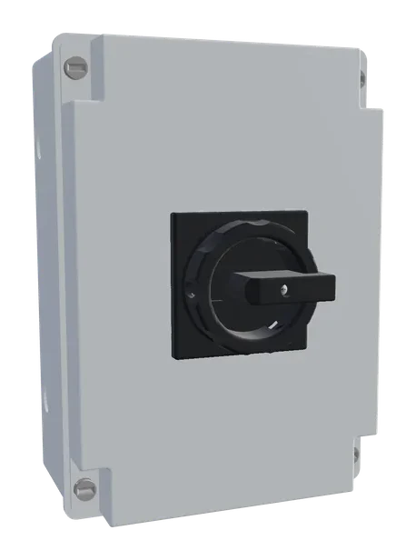 LT100 负荷隔离开关 RLT100/3PM-D3/Z33S，货号 10014938